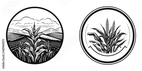 Agriculture and organic farm logo set, corn field, vector illustration.
