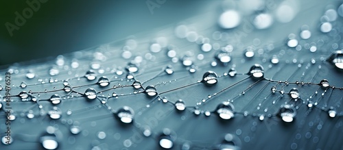 High quality close-up photo of raindrops on a cobweb with selective focus and shallow depth of field.
