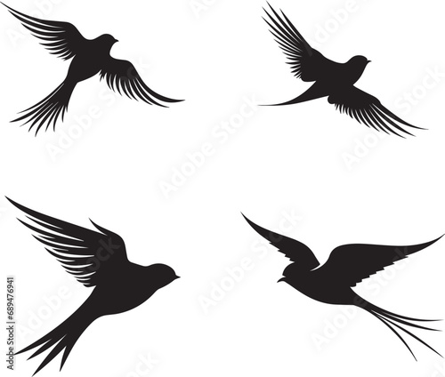 set of silhouettes of bird swallow on white background photo