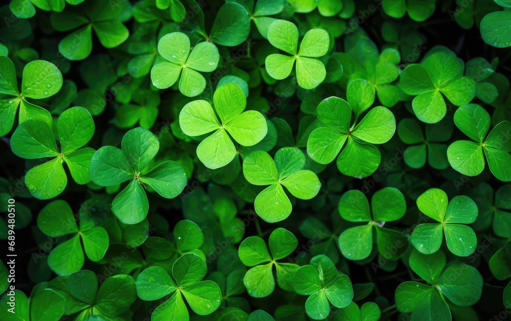 Green background with shamrocks Green background with shamrocks