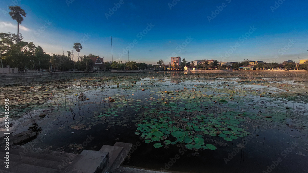 Tranquil lotus pond with water lilies at dusk called Srah Chhouk in the middle of Kampot town in Cambodia
