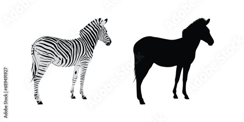 Hand drawn african zebra silhouette design