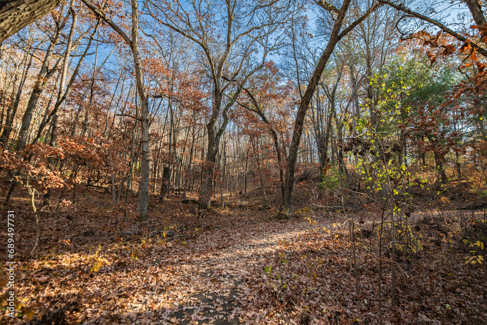 Forest trail in November on a clear autumn day on the trail from a Wisconsin rest stop off I-94 in the Washburn Marsh State Natural Area Forest trail in November on a clear autumn day on the trail from a Wisconsin rest stop off I-94 in the Washburn Marsh State Natural Area
