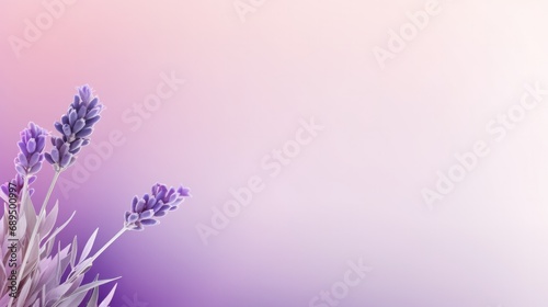 Elegant gradient transition from soft pink to serene lavender for a stylish slide background