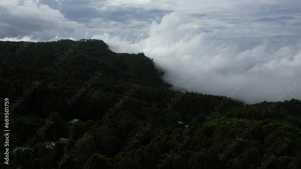 Landscape scenery of the beautiful mountains and low clouds in the North of Bali, Indonesia. Aerial.