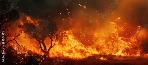 Fire consumes vegetation as it travels.