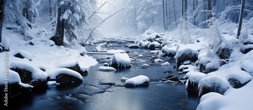 Czech national park, Sumava, winter creek. photo