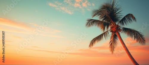 Palm tree during sunset at Cable beach, Broome, WA.