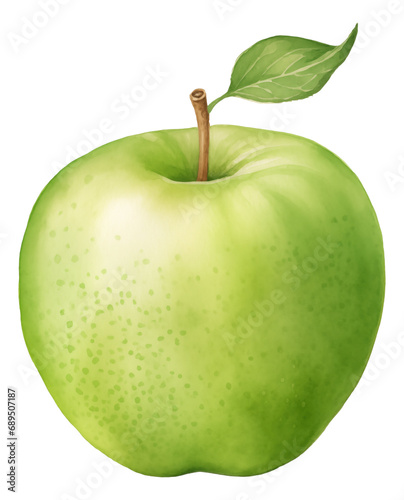 Watercolor green apple isolated.