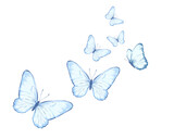 butterfly drawing vector seamless print