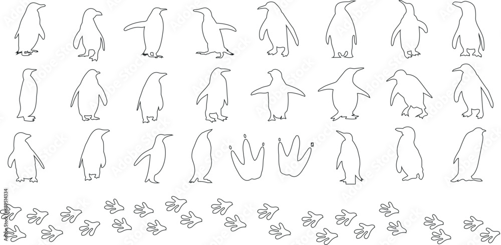 Penguin line art vector illustration set, penguins outline for winter designs, animal themes. Features black and white line art penguins in various poses  standing, walking, waddling, sitting, sliding