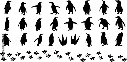 Penguin silhouette vector illustration, unique penguins in different poses. Perfect for animal, bird, flightless, Antarctica, emperor, king, Adelie, chinstrap, gentoo, macaroni, rockhopper photo