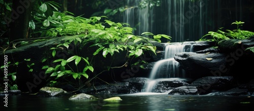 Blurred leaves on slow shutter capture Thailand's humid forest waterfall. photo