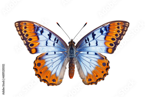 beautiful colorful butterfly isolated transparent background. generative ai