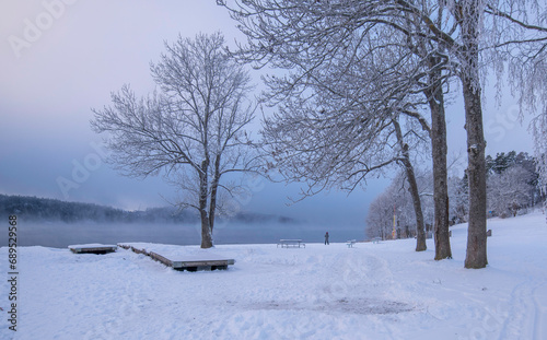 Smoke, fog, over the lake Mälaren at a beach, frost on trees and snow in the Stockholm district Bromma