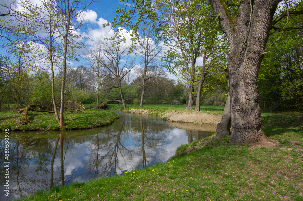 Natural location Na Podkove near Chrudima river, oxbow surrounded with trees and greenery, water surface reflections