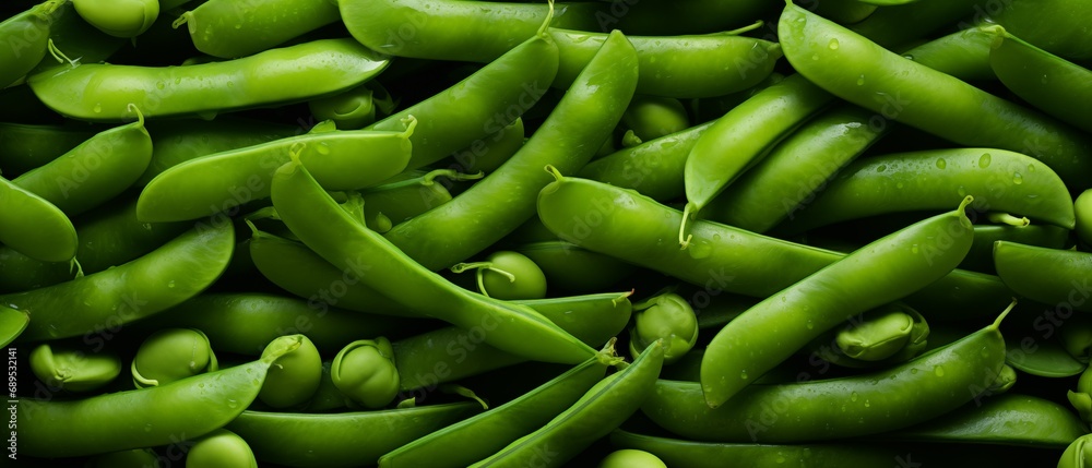 Green Pea Pods with Dew