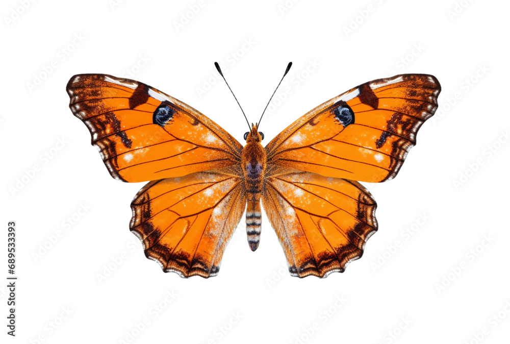 Fototapeta premium beautiful colorful butterfly isolated transparent background. generative ai