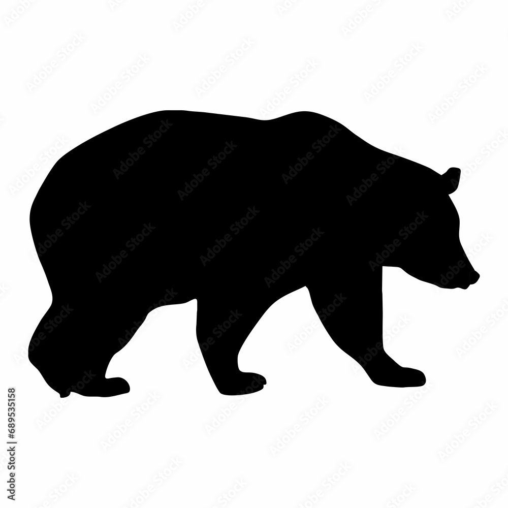 Fototapeta premium silhouette of a black bear walking