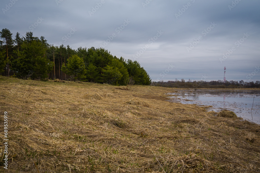 Spring flood of the river