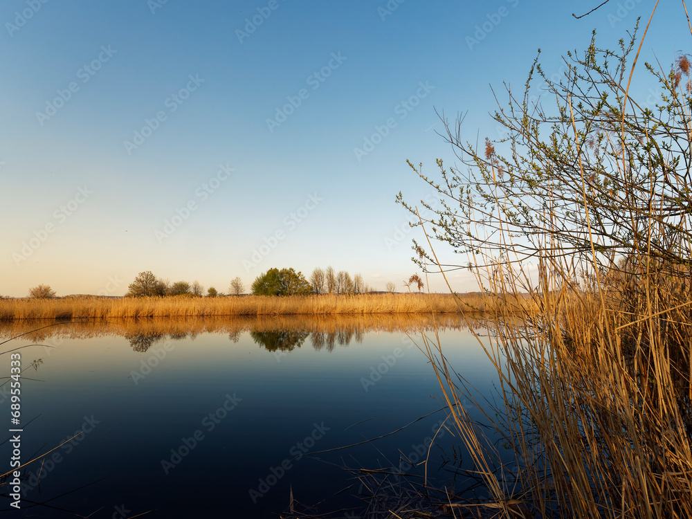 Fototapeta premium Großer Wörthsee und Sichelsee im Naturschutzgebiet Mainaue bei Augsfeld, Stadt Haßfurt, Landkreis Hassberge, Unterfranken, Franken, Bayern, Deutschland