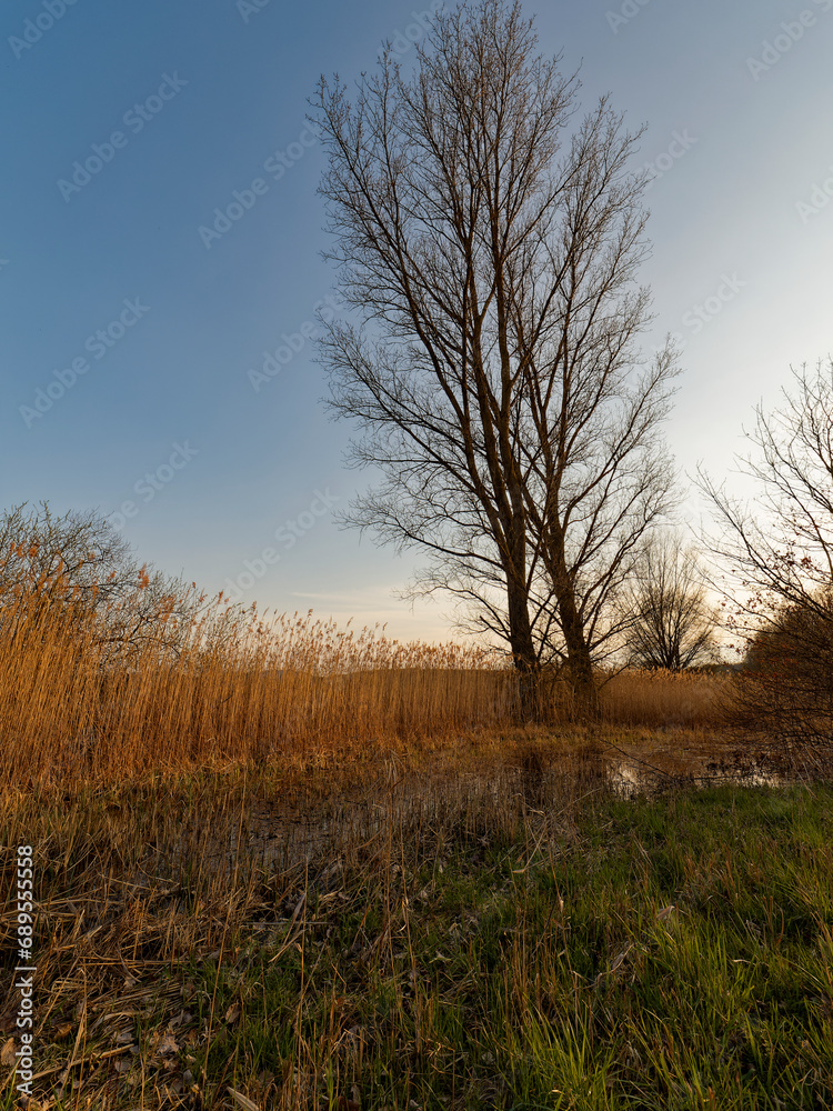 Großer Wörthsee und Sichelsee im Naturschutzgebiet Mainaue bei Augsfeld, Stadt Haßfurt, Landkreis Hassberge, Unterfranken, Franken, Bayern, Deutschland