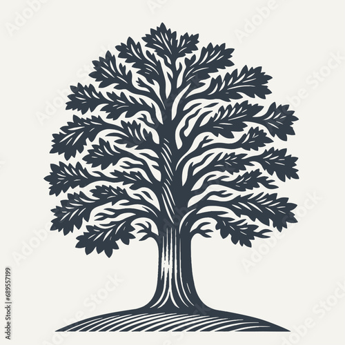 Oak tree. Vintage woodcut engraving style vector illustration.