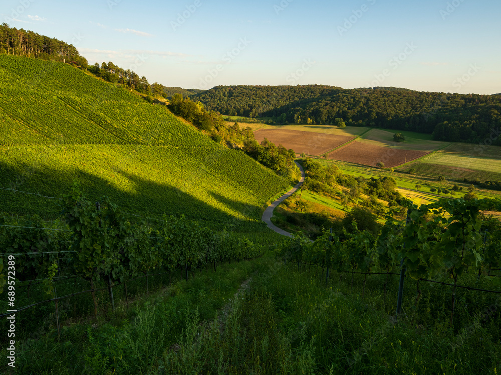 Weinberge bei Ramsthal im Abendlicht, Landkreis Bad Kissingen, Franken, Unterfranken, Bayern, Deutschland Weinberge bei Ramsthal im Abendlicht, Landkreis Bad Kissingen, Franken, Unterfranken, Bayern, Deutschland