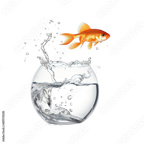goldfish jumping out of water fishball