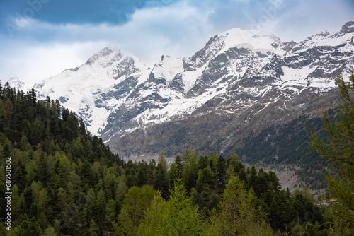 Mountain landscape, snow peaks and forest