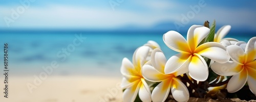 Plumeria (Frangipani) on tropical sea and beach blue sky background, Summer festive time. Generative AI © Aditi Tales