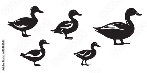Duck vector silhouette © Pixzot