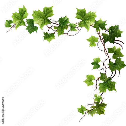 Grape leaves vine branch on transparent background, green leaves vine plant, nature frame jungle border