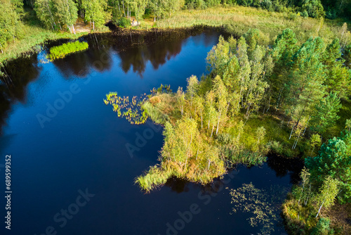 A picturesque view from a low altitude of an island in the middle of the lake overgrown with young birch trees. Overgrown peat lake