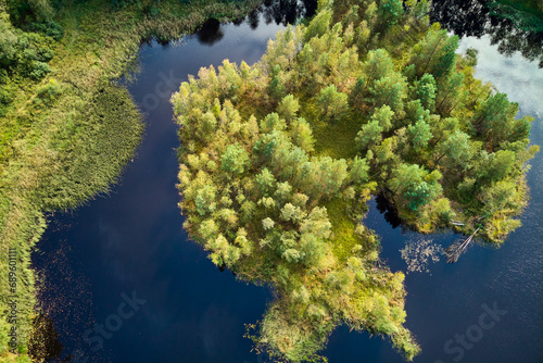 Green island overgrown with trees on a small peat lake, picturesque aerial view