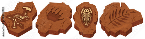 Dinosaur and insect skeleton, creature paw and plant trail set
