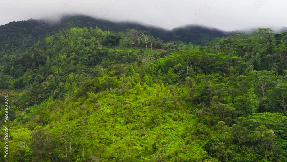Mountains with rainforest and agricultural land in a mountainous province in Sri Lanka. Mountains with rainforest and agricultural land in a mountainous province in Sri Lanka.