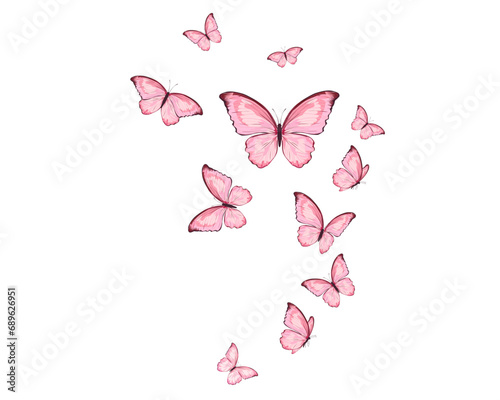 butterfly on a pink background