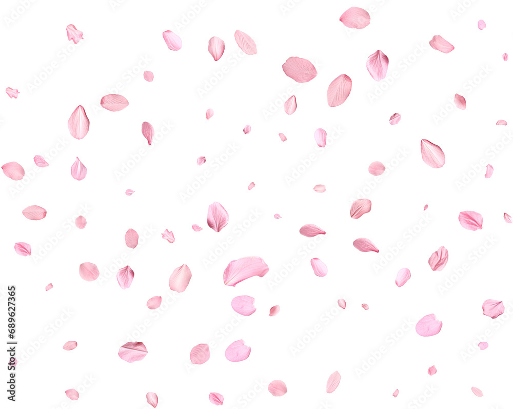 Pink Spring realistic sakura petals. - obrazy, fototapety, plakaty 