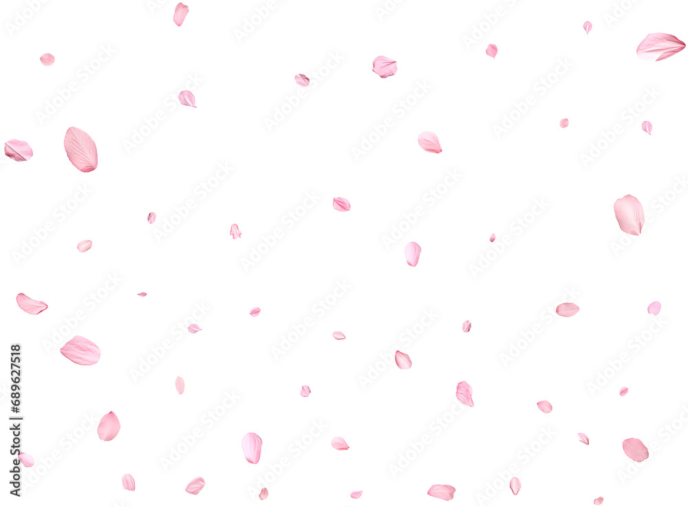 Pink Spring realistic sakura petals.