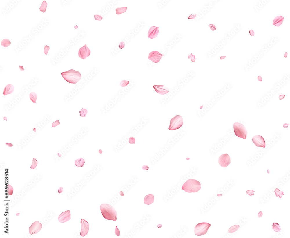 Pink Spring realistic cherry petals.