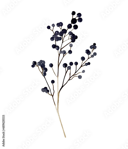 Watercolor privet berry branch illustration. Winter purple berries floral element isolated. Hand-drawn floral element for cards design  wedding invitations  decor