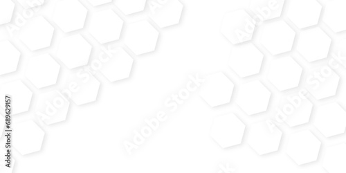 Abstract White Hexagonal Background. Luxury White Pattern. honeycomb white Background white and hexagon abstract background. 