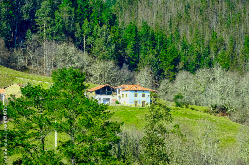A farm building amid beautiful trees in Cofino, Asturias, Spain A farm building amid beautiful trees in Cofino, Asturias, Spain