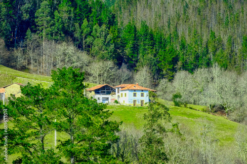 A farm building amid beautiful trees in Cofino, Asturias, Spain