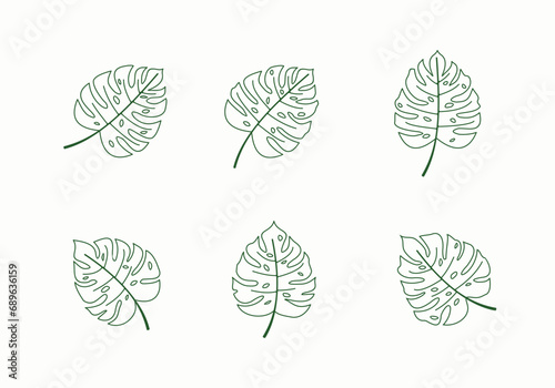 monstera deliciosa decorative leaf design collection