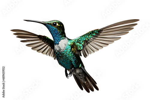 Beautiful Hummingbird in Flight on Transparent Background