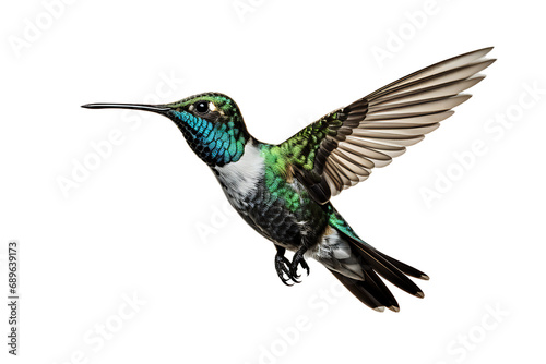 Beautiful Hummingbird in Flight on Transparent Background