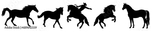 Horse collection - vector silhouette. vector isolated.