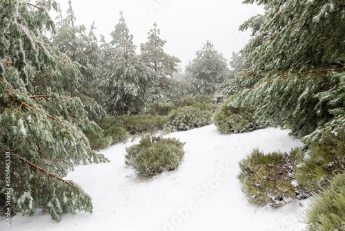 first snowfall of the year 2023 in the Sierra de Guadarrama in Madrid, Spain